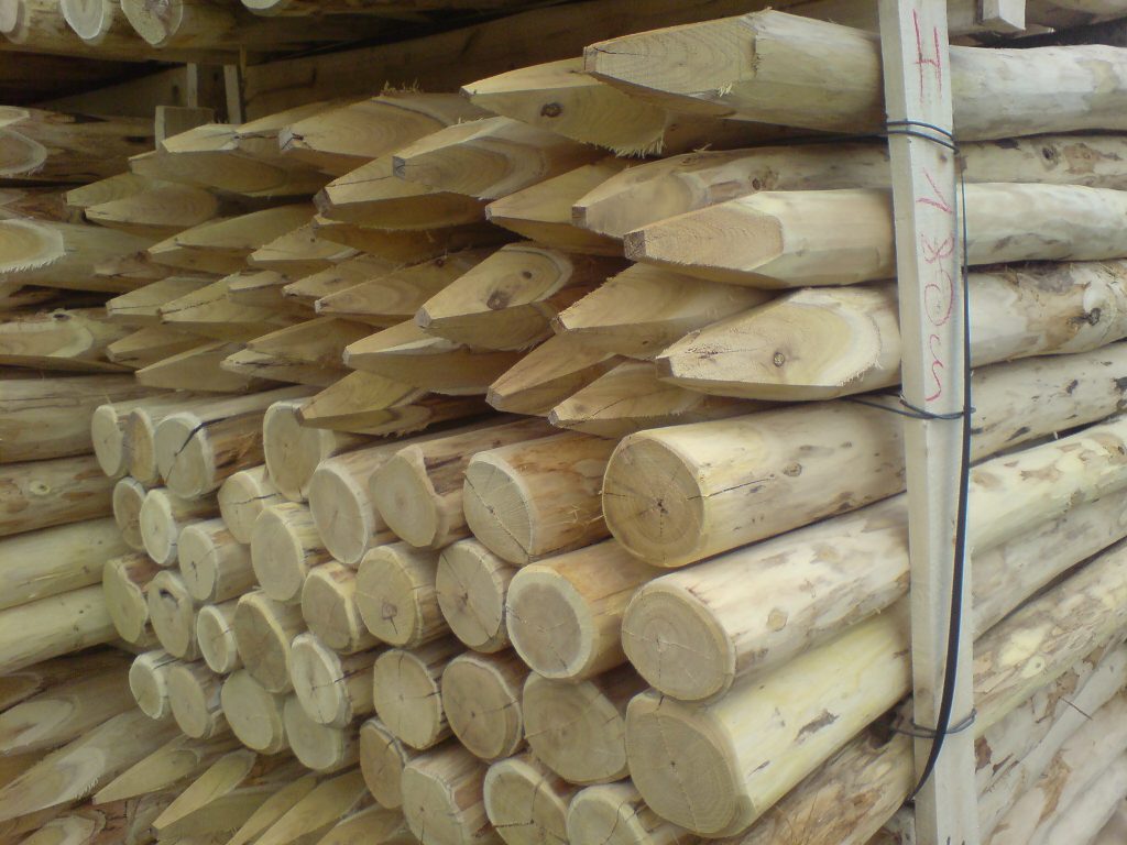 Robinia - hout eigenschappen | Van Biezen Robinia hout